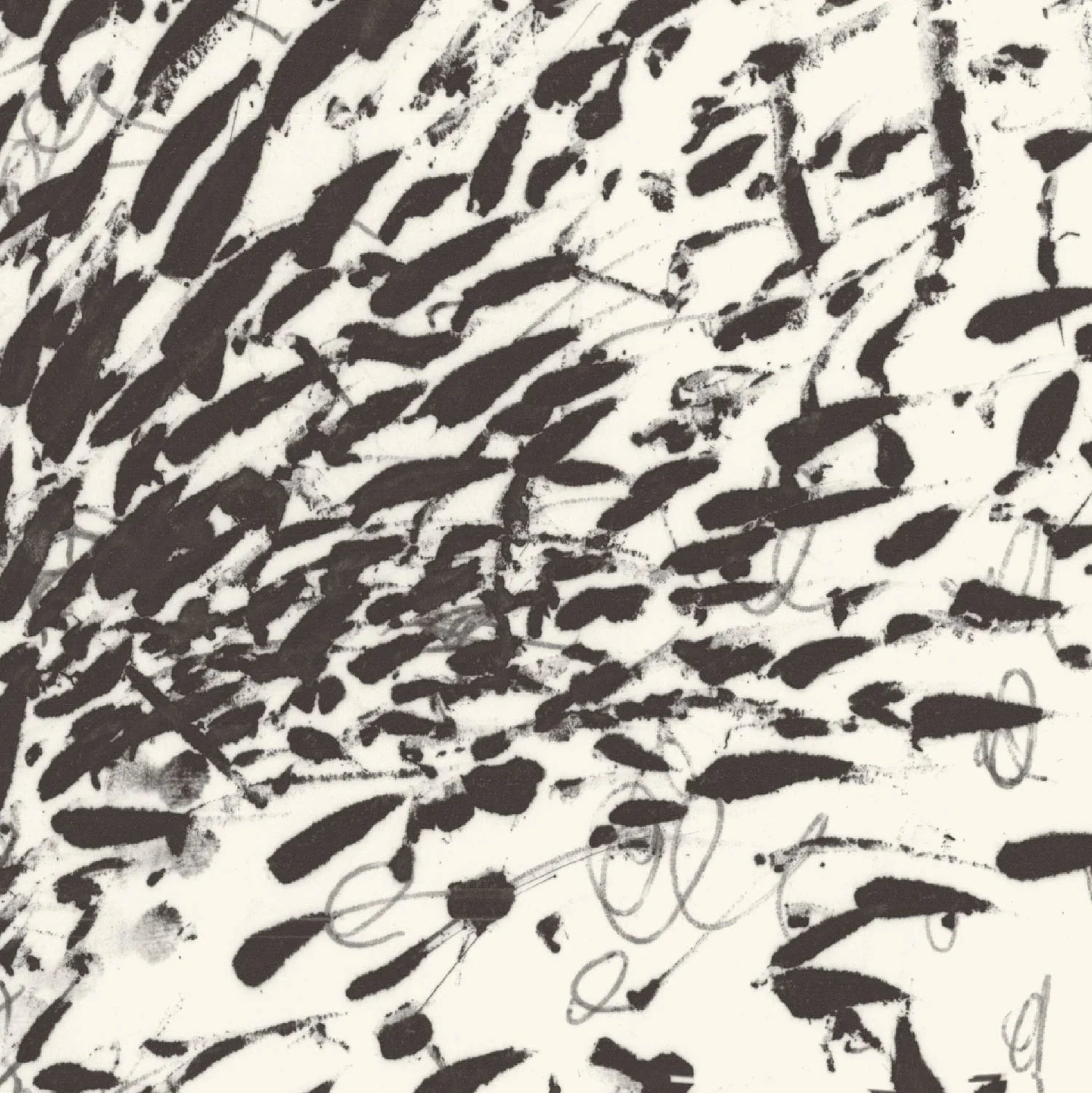 Disorder in Stasis Passerine Vinyl Wallpaper