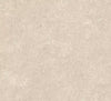 Calcaire Stucco Wallpaper by Arte