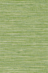 Green Herb