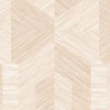 Cloth
