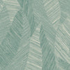Eucalyptus