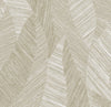 Cedar