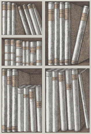 Ex Libris Wallpaper by Cole & Son