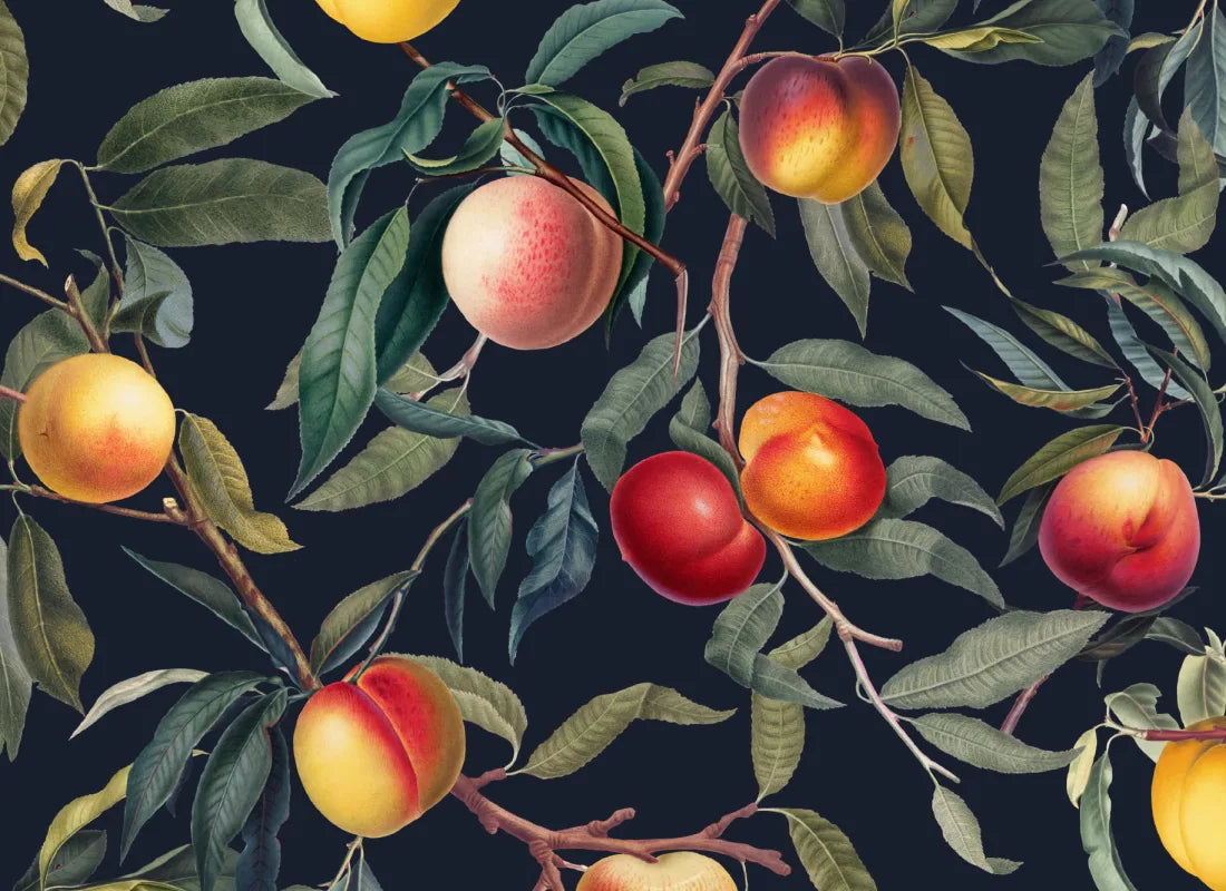 Gallesio Wallpaper by Hovia