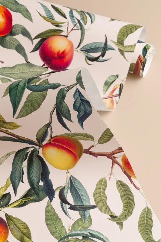 Gallesio Wallpaper by Hovia