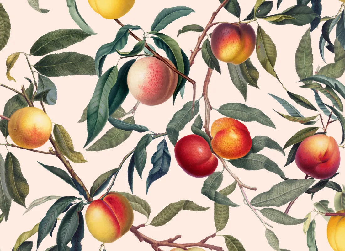 Gallesio Wallpaper by Hovia