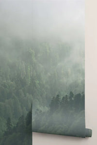 Misty Valley Mural by Hovia