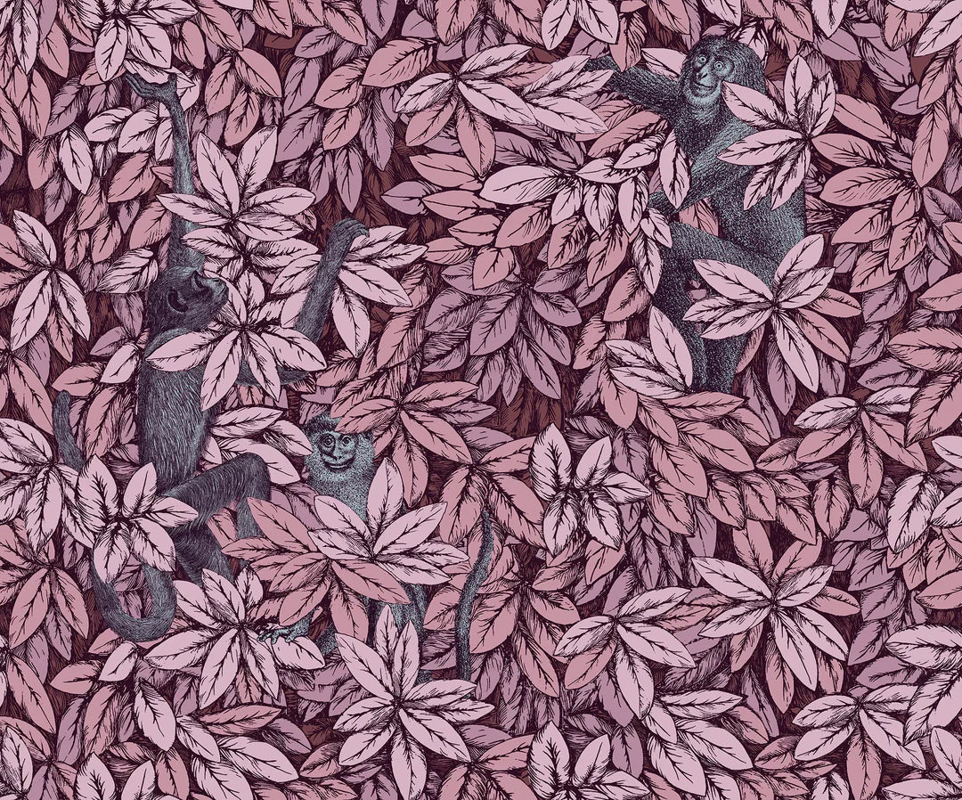 Foglie E Scimmie Wallpaper by Cole & Son