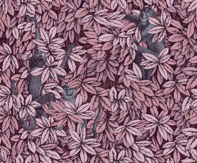 Foglie E Scimmie Wallpaper by Cole & Son