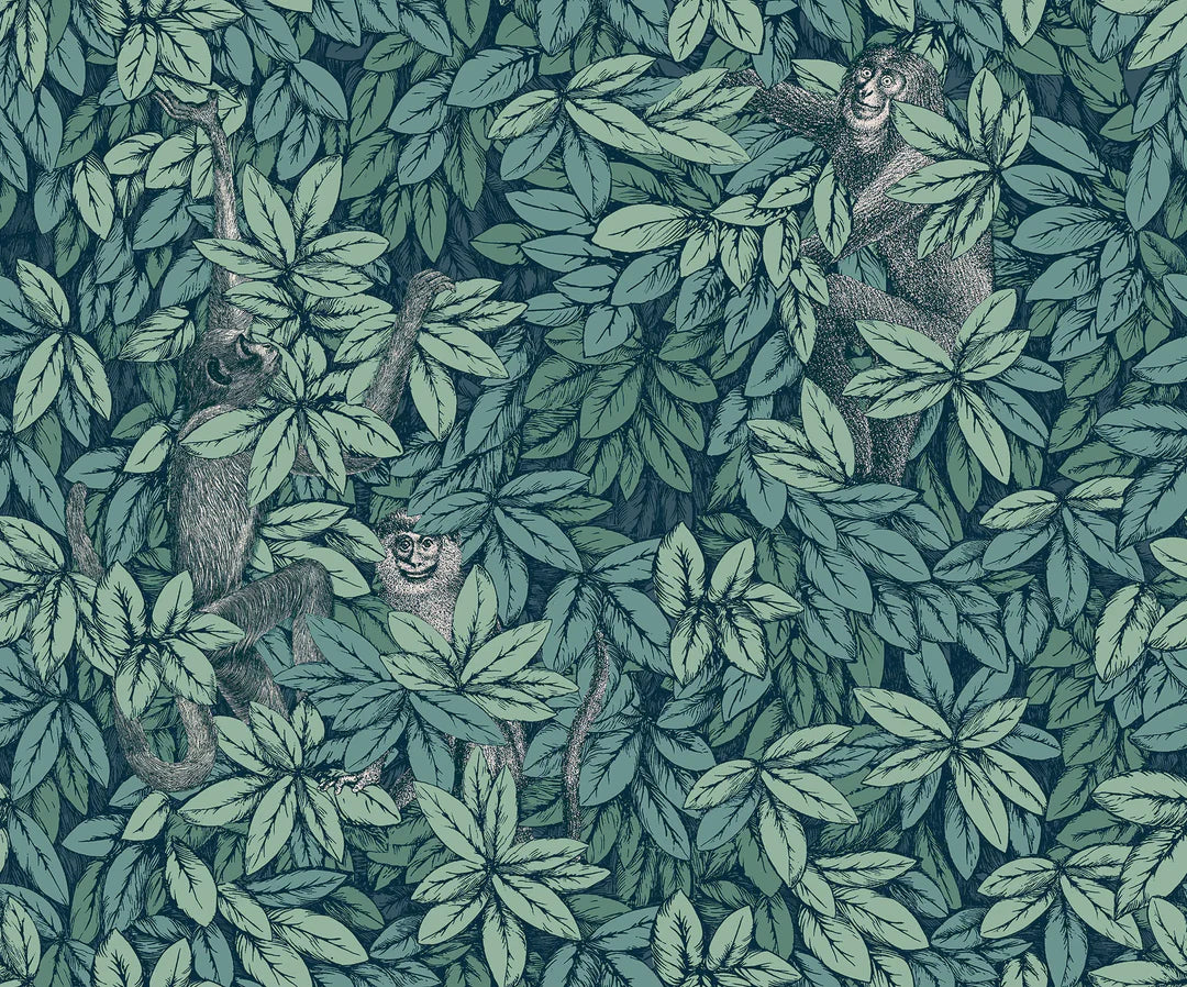 Foglie E Scimmie Wallpaper by Cole & Son