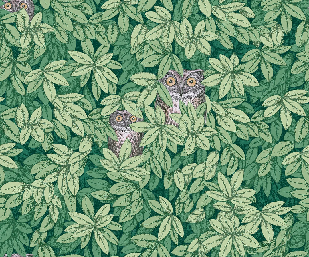 Foglie E Civette Wallpaper by Cole & Son