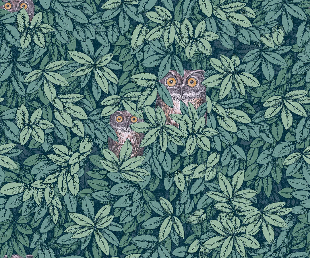 Foglie E Civette Wallpaper by Cole & Son