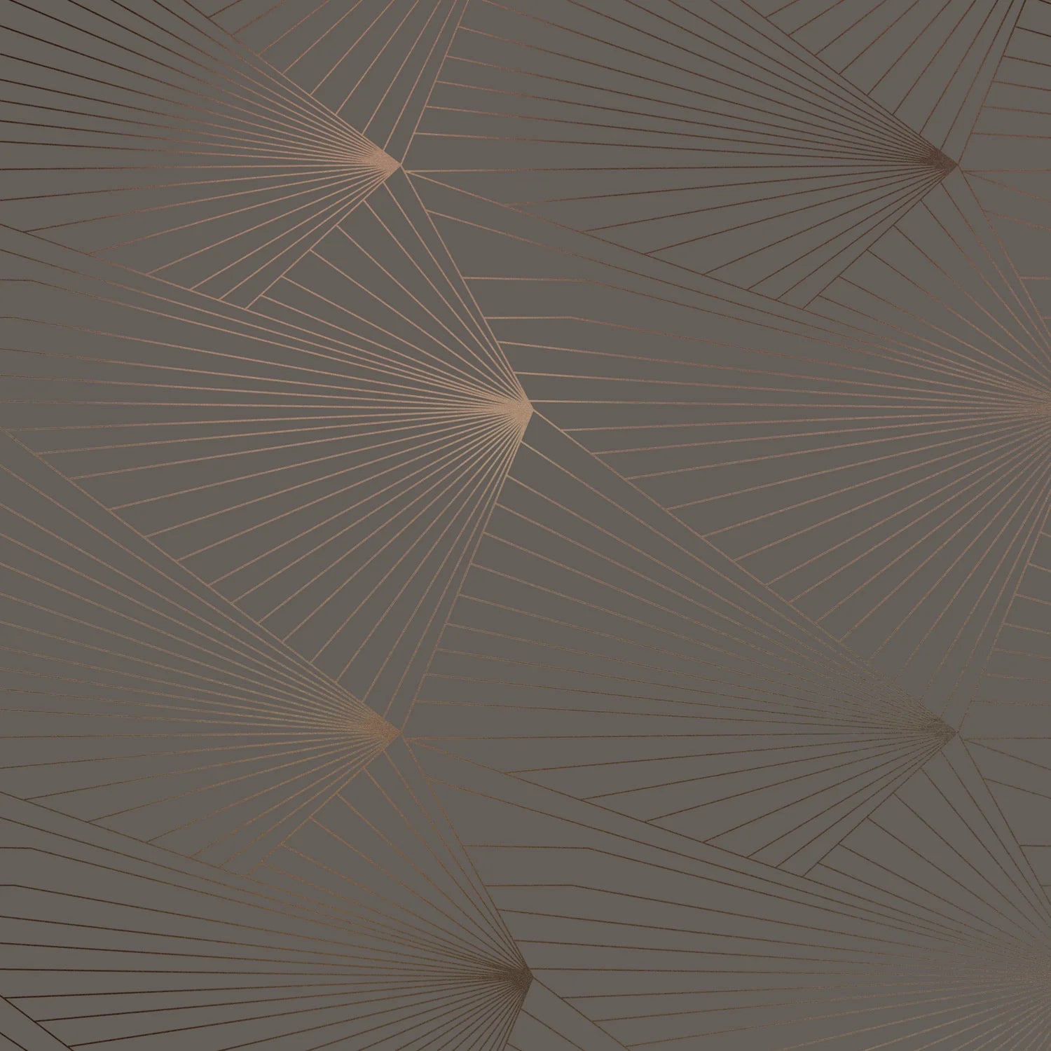 Fan Wallpaper by Erica Wakerly