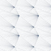 Navy & White