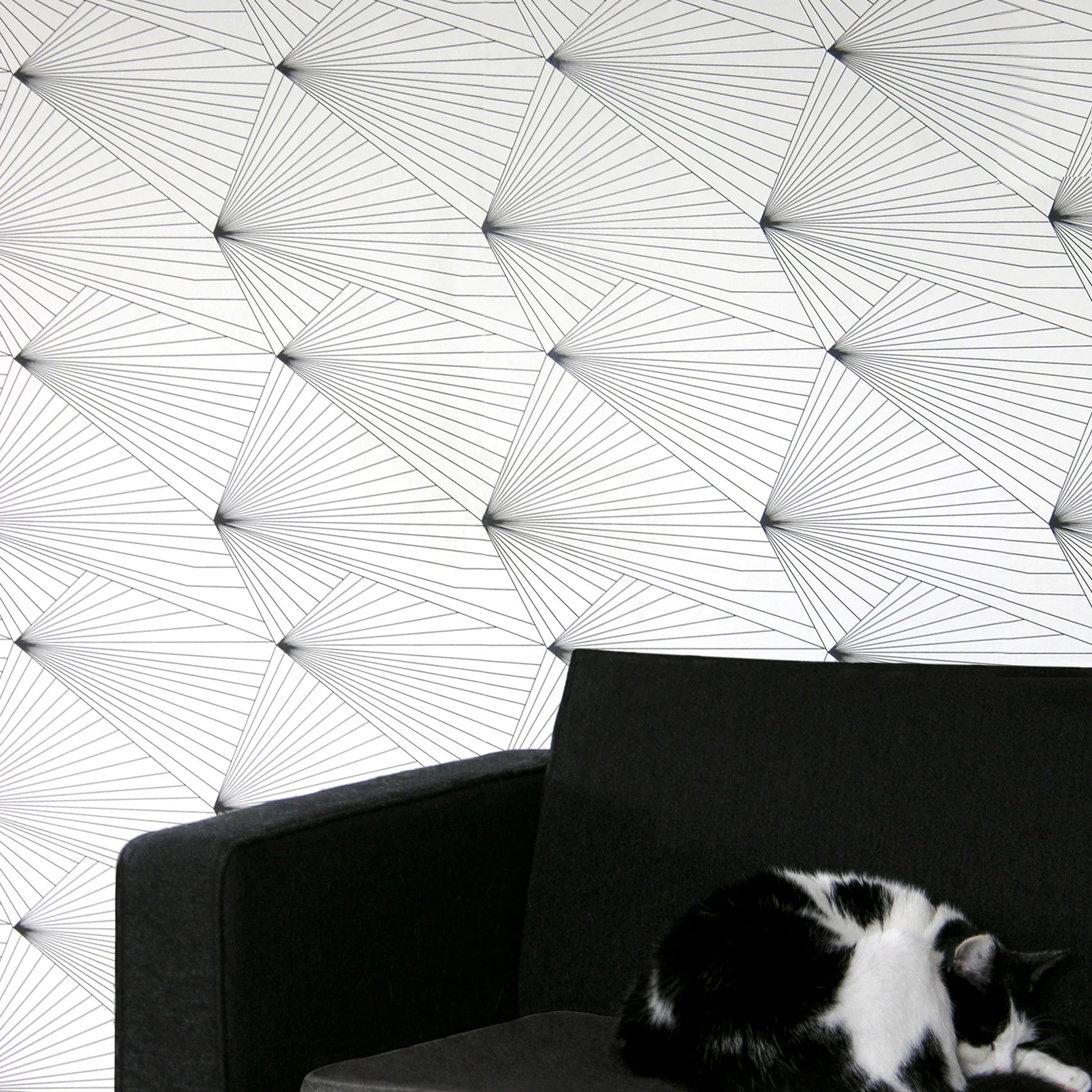 Fan Wallpaper by Erica Wakerly