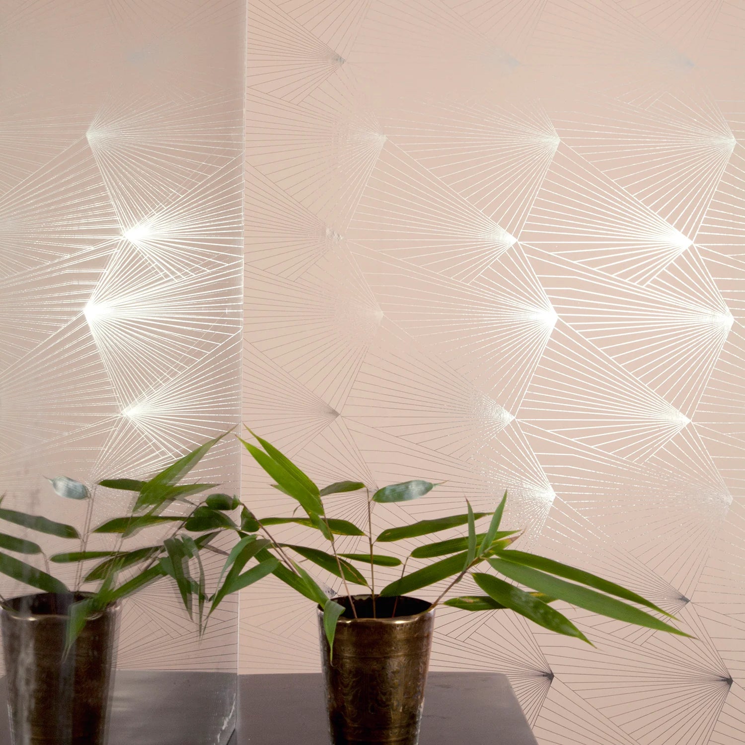 Fan Wallpaper by Erica Wakerly