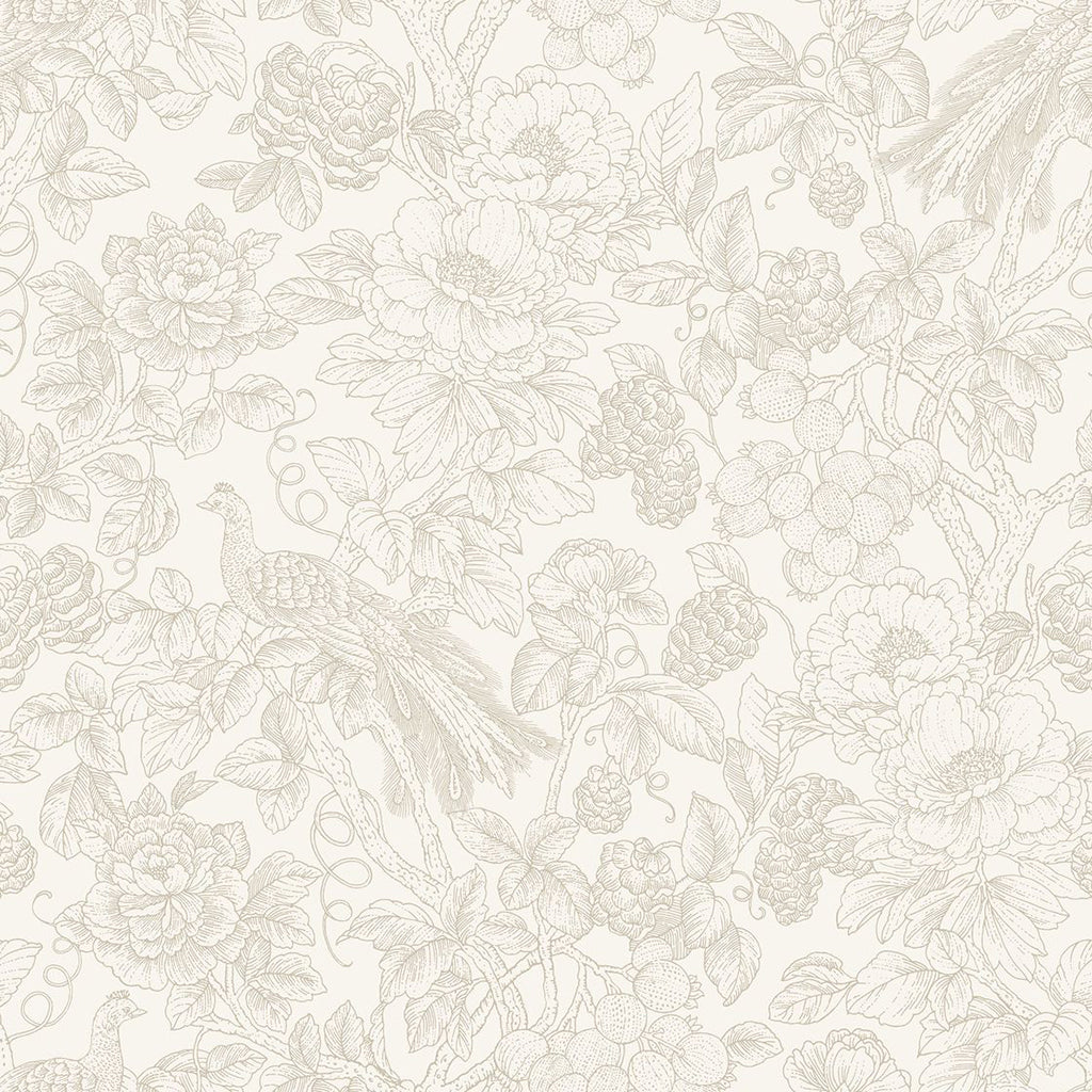 Delicacy Feather Wallpaper