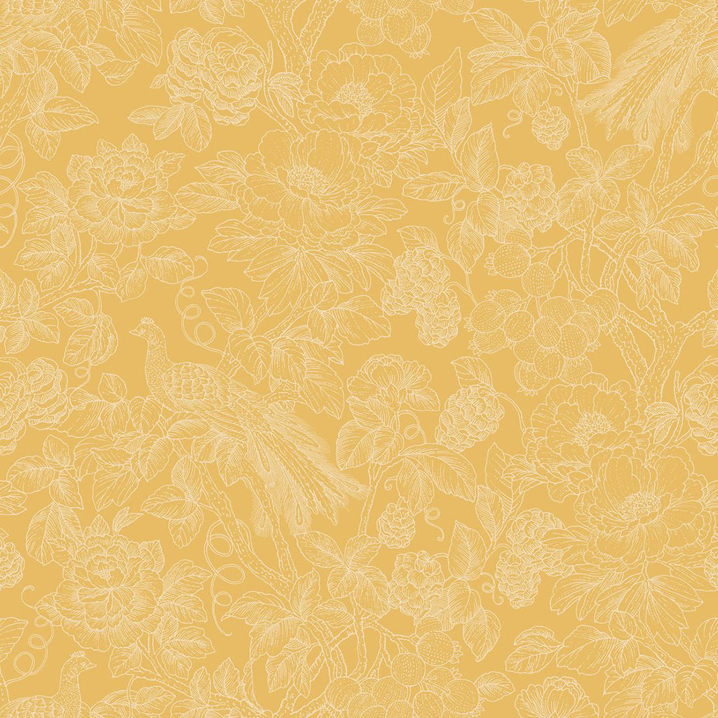 Delicacy Feather Wallpaper