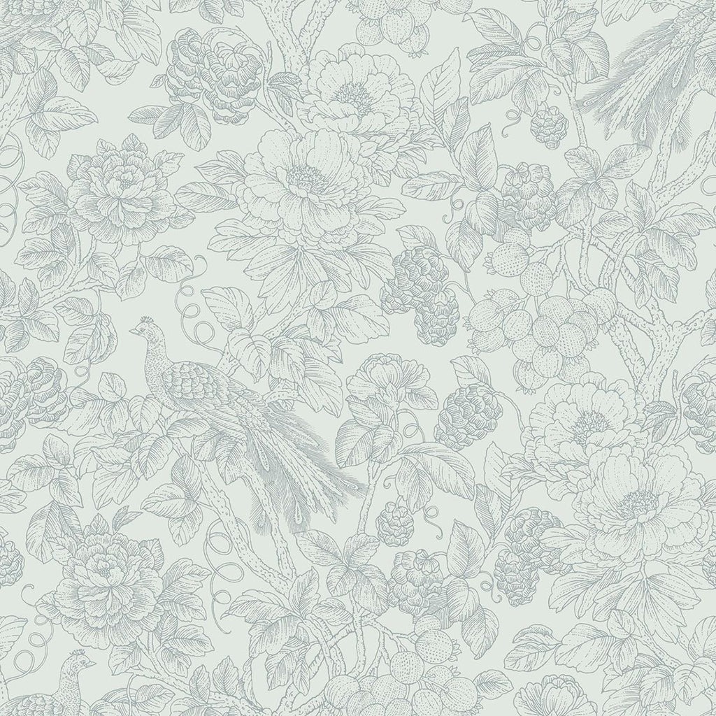 Delicacy Feather Wallpaper