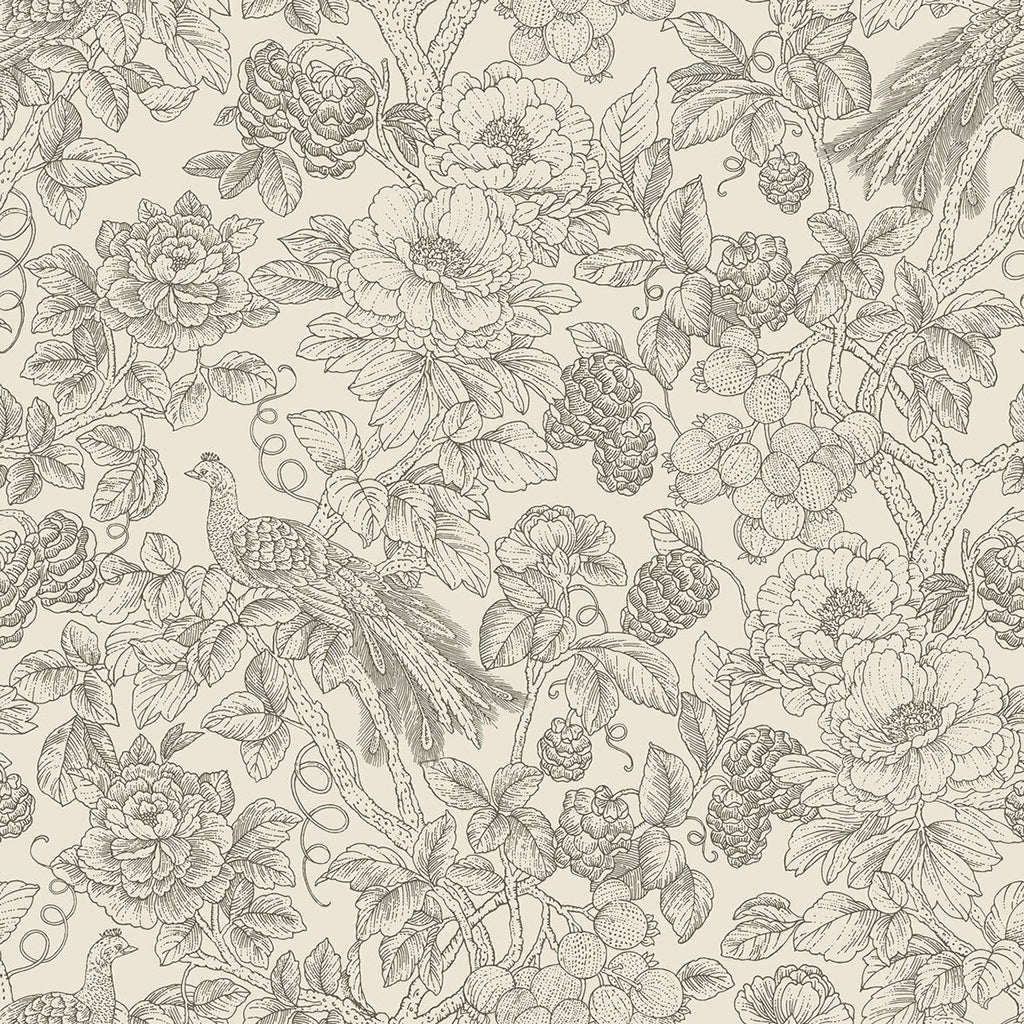 Delicacy Feather Wallpaper