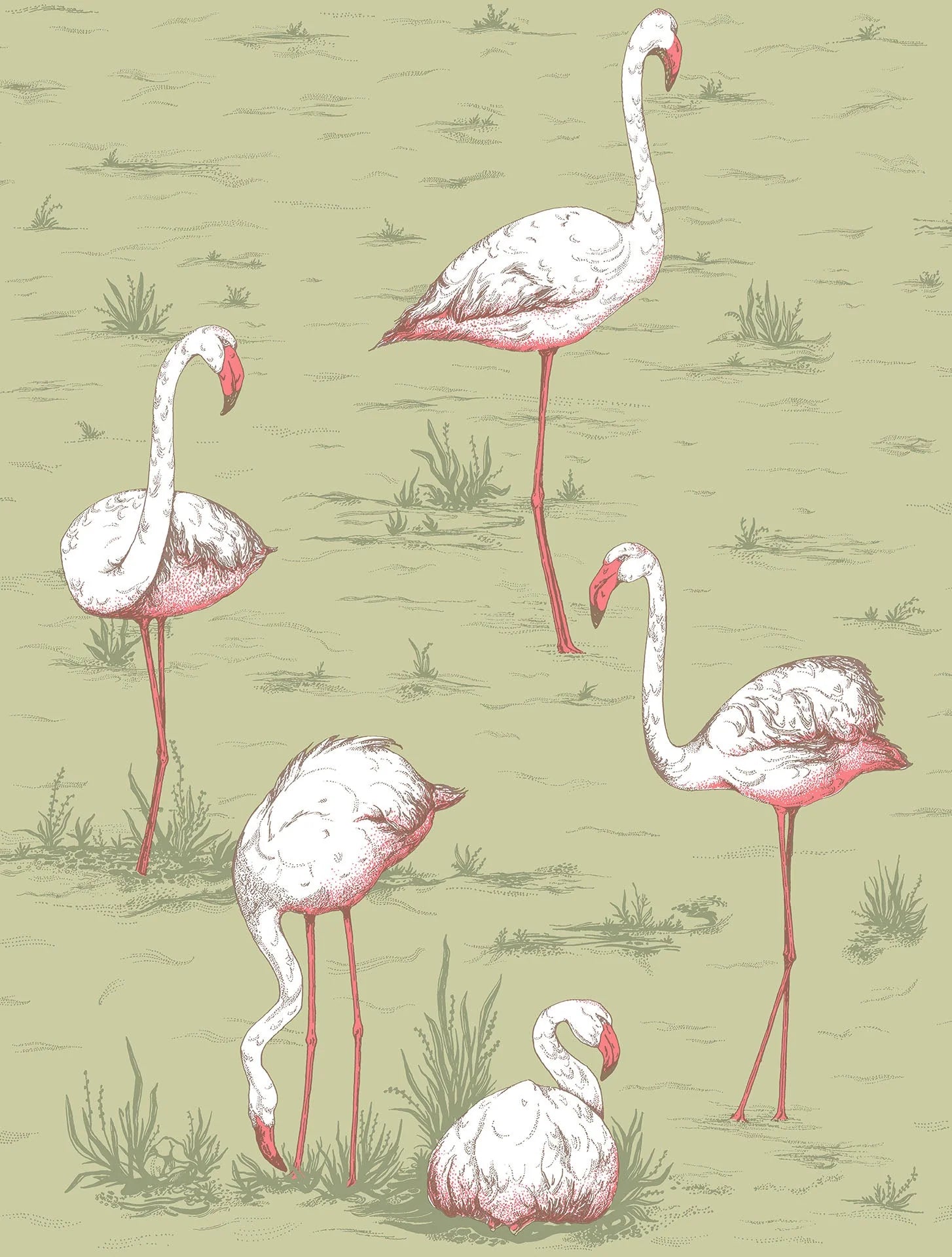 Flamingo Icons by Cole & Son Wallpaper