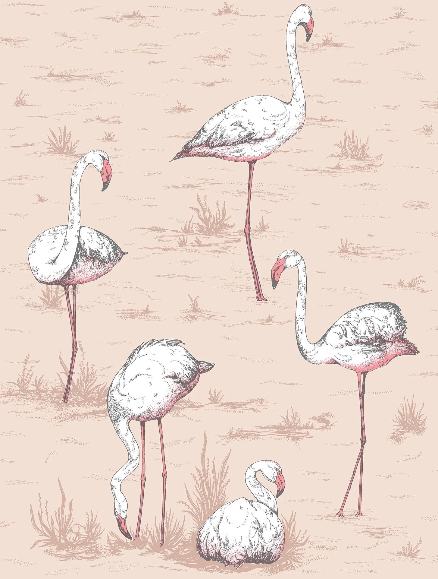 Flamingo Icons by Cole & Son Wallpaper