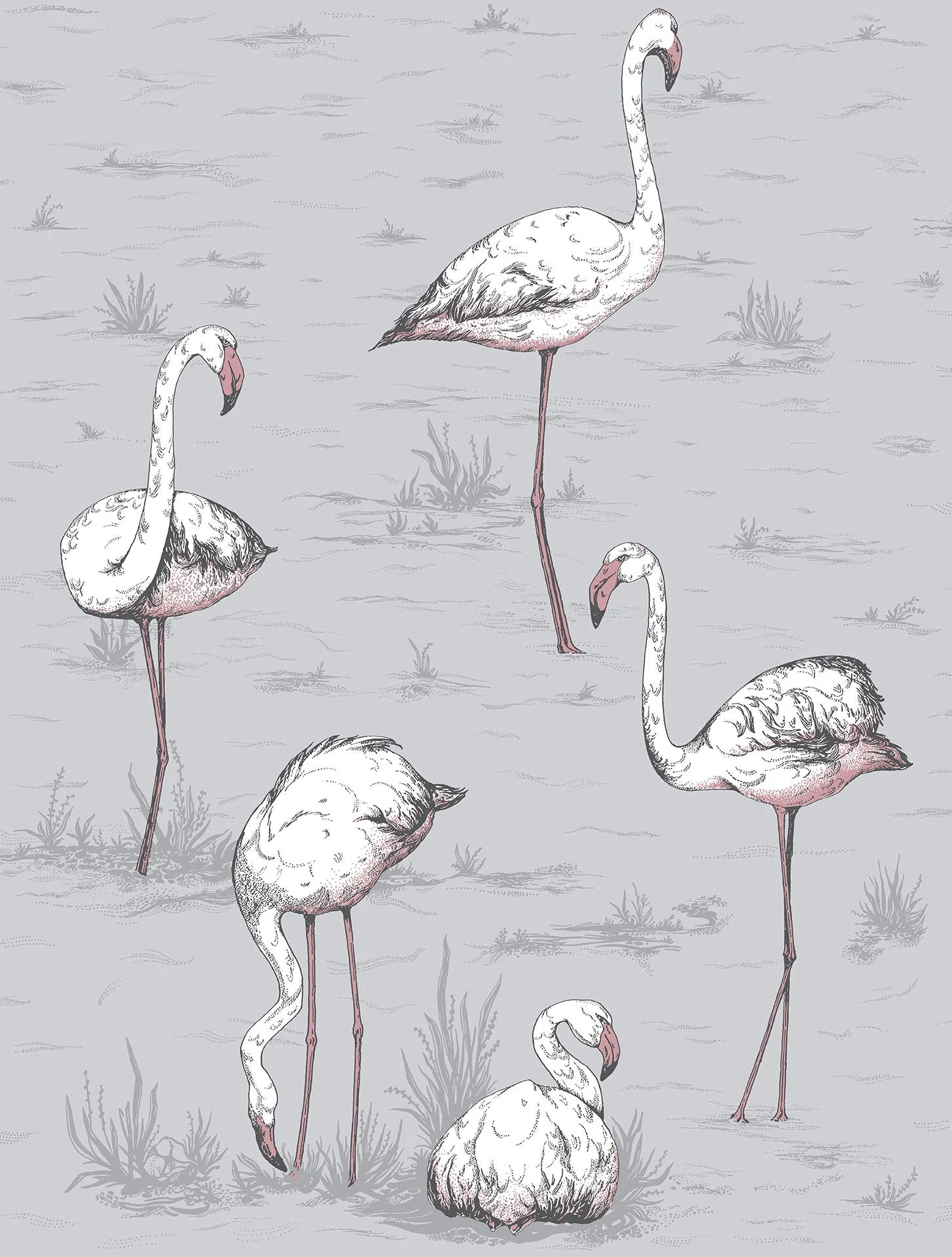 Flamingo Icons by Cole & Son Wallpaper