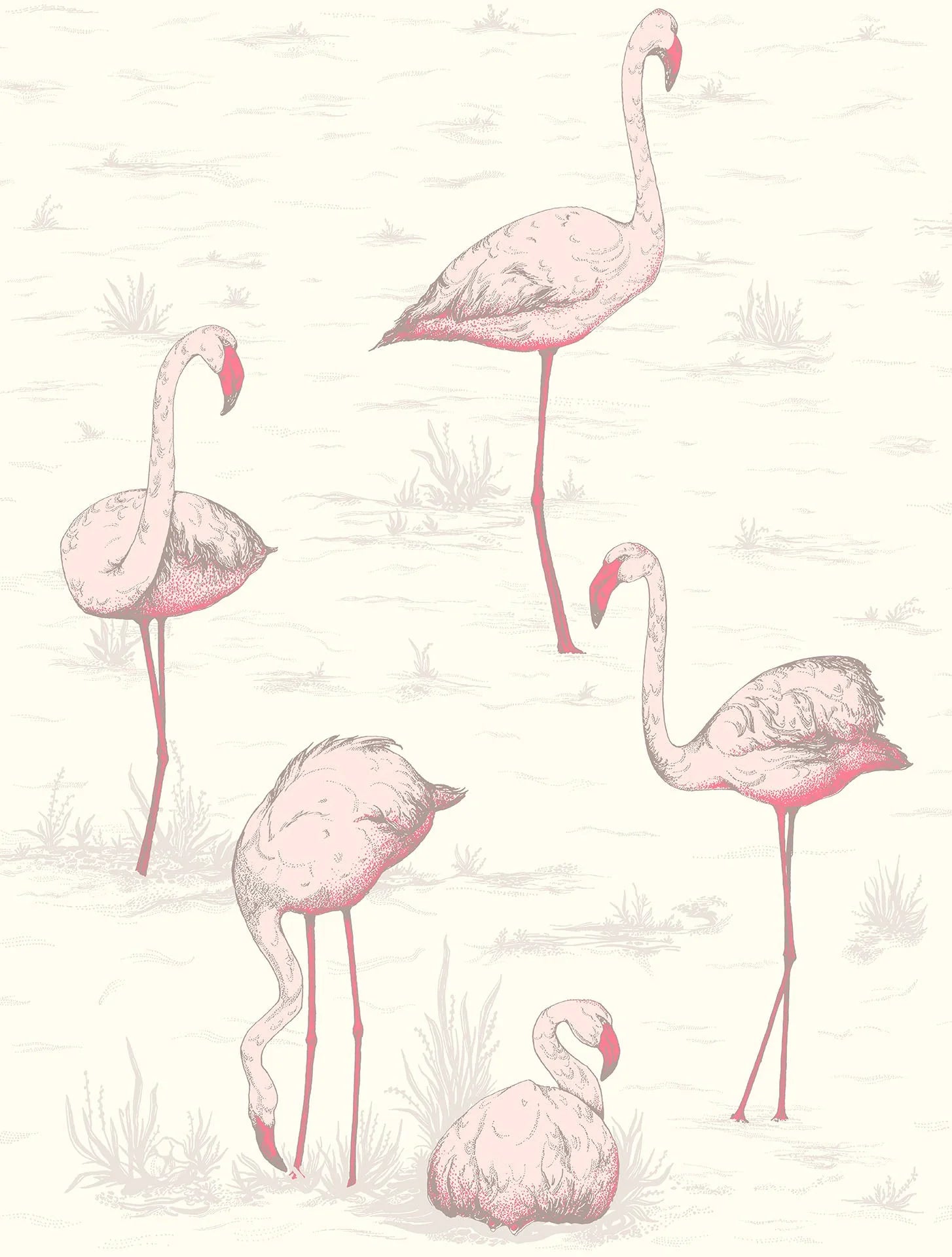Flamingos Wallpaper by Cole & Son