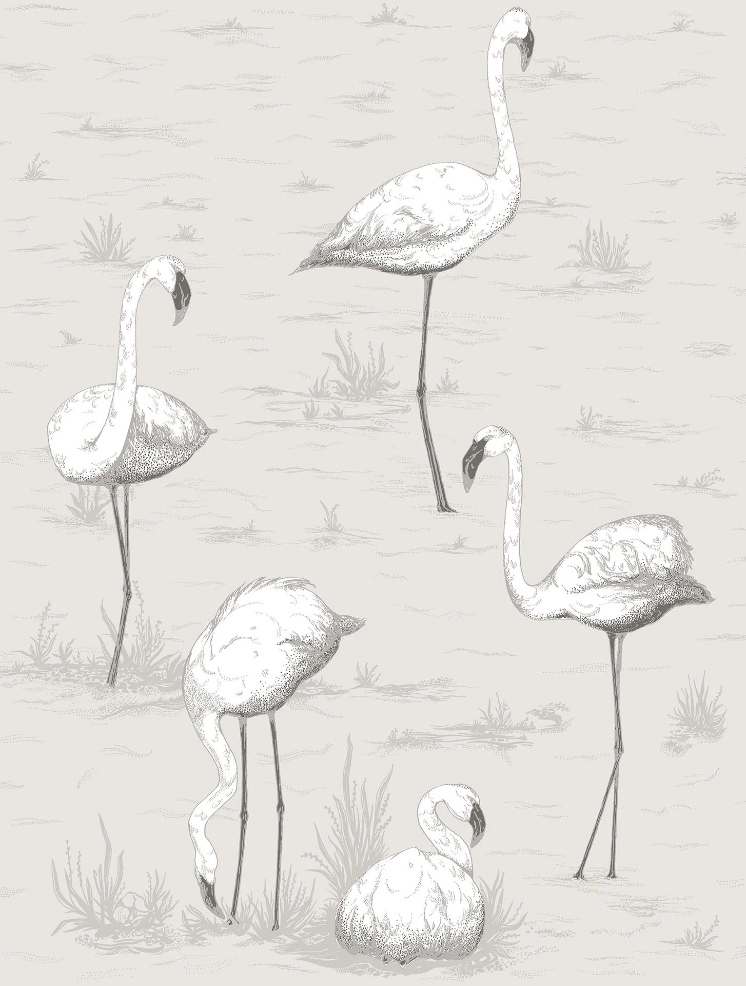 Flamingos Wallpaper by Cole & Son