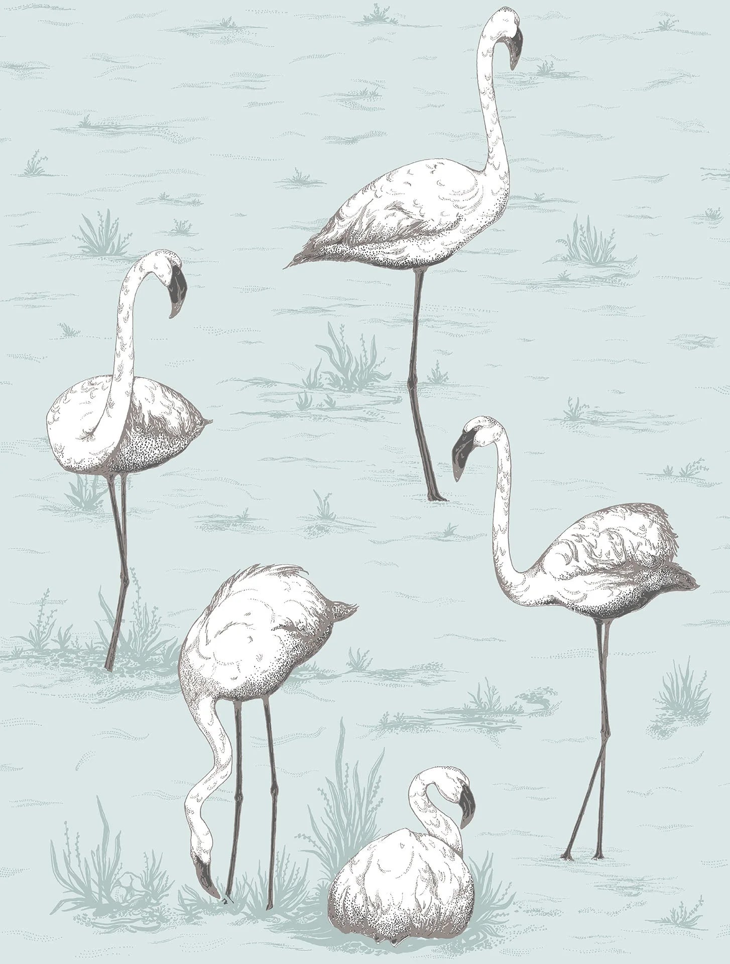 Flamingos Wallpaper by Cole & Son