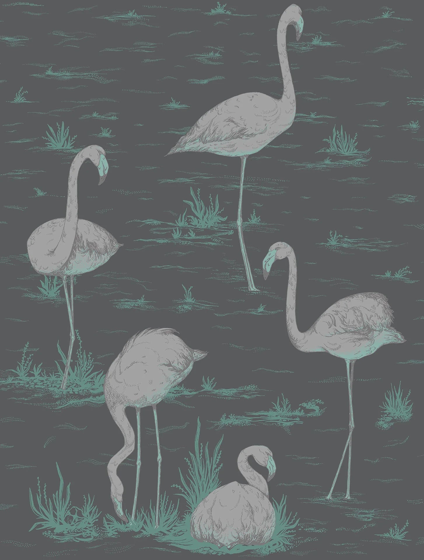 Flamingos Wallpaper by Cole & Son