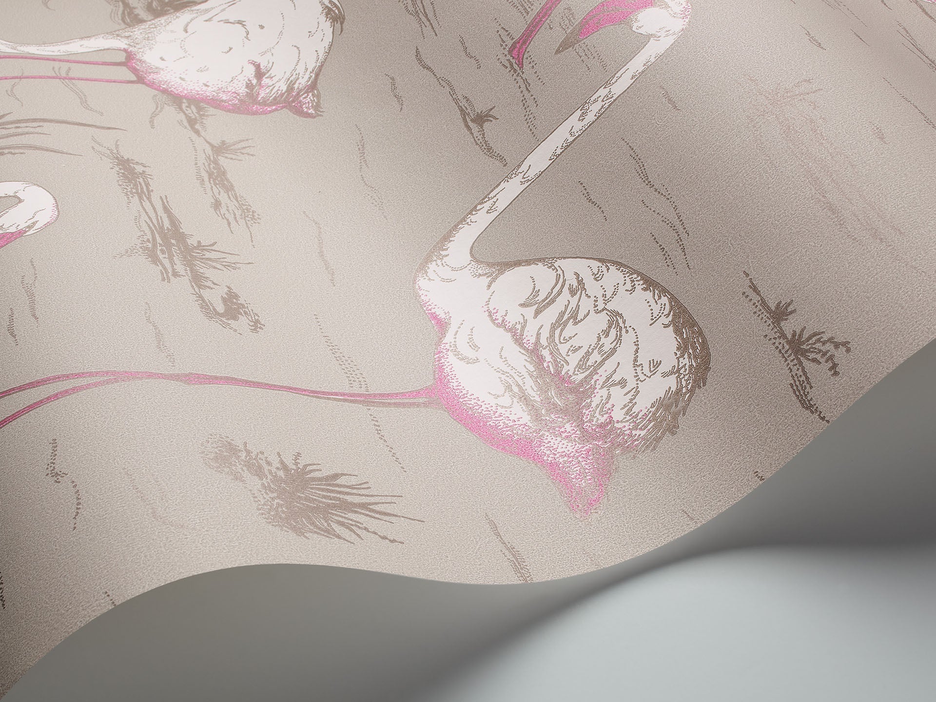 Flamingos Wallpaper by Cole & Son
