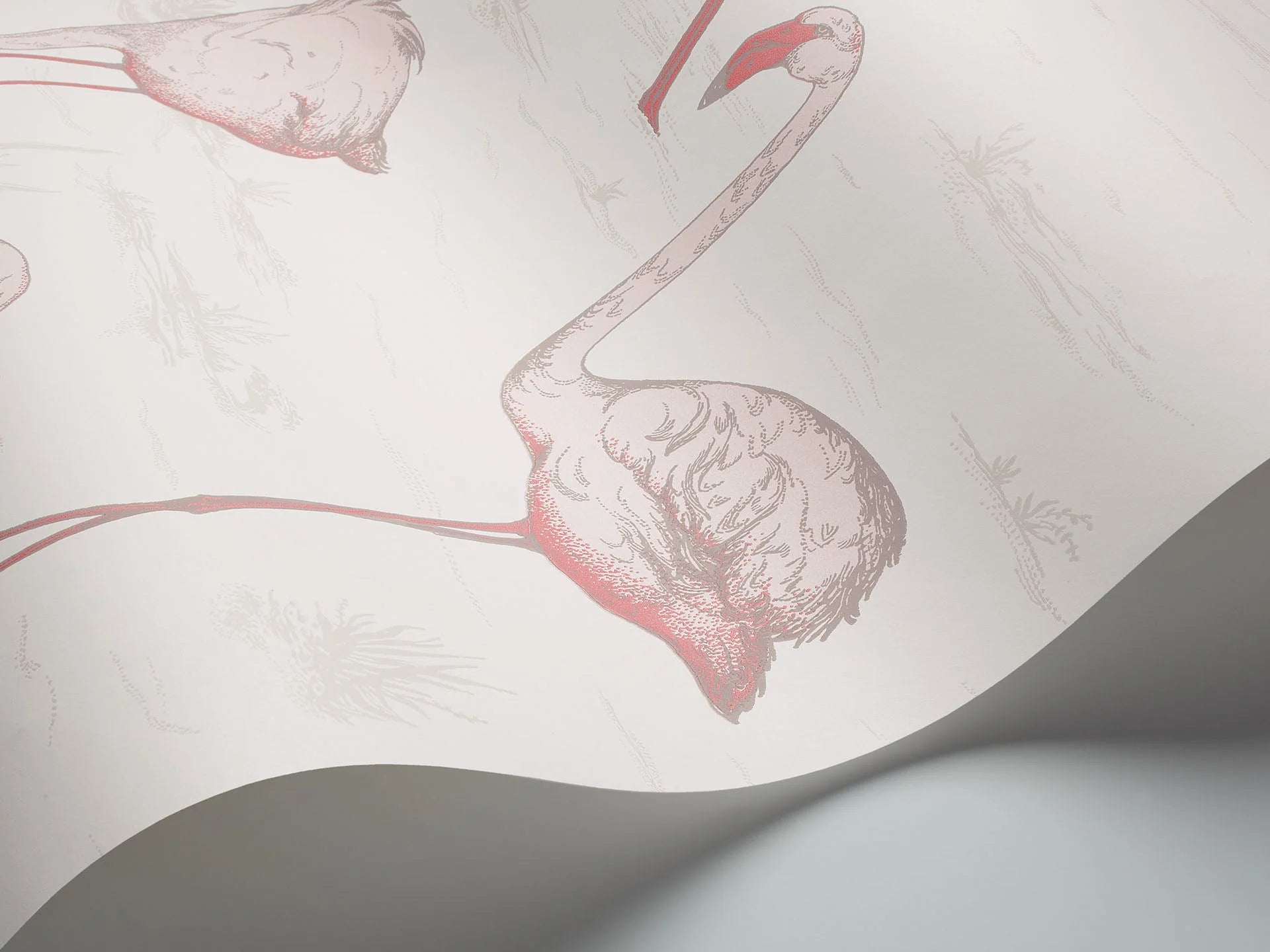 Flamingos Wallpaper by Cole & Son