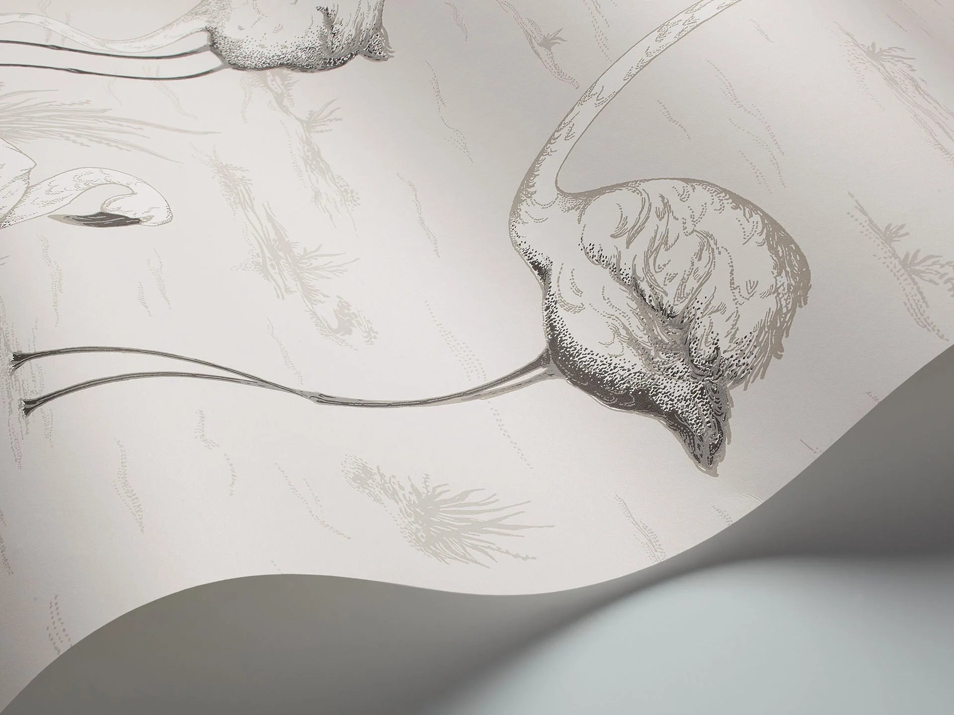 Flamingos Wallpaper by Cole & Son