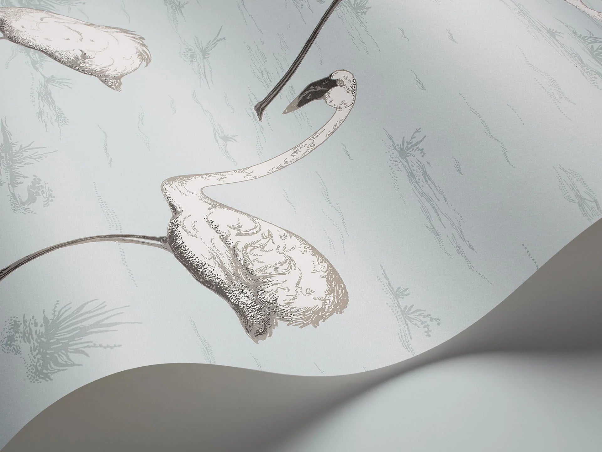 Flamingos Wallpaper by Cole & Son