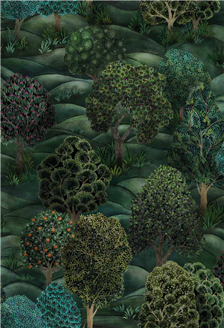 Forest Wallpaper by Cole & Son