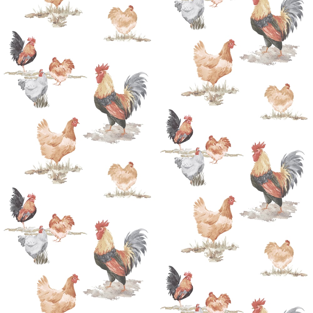 Chickens Wallpaper by Galerie ( Just Kitchens Collection)