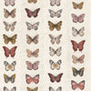 Jewel Butterflies Stripe Wallpaper by Galerie (Organic Textures Collection)