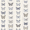 Jewel Butterflies Stripe Wallpaper by Galerie (Organic Textures Collection)