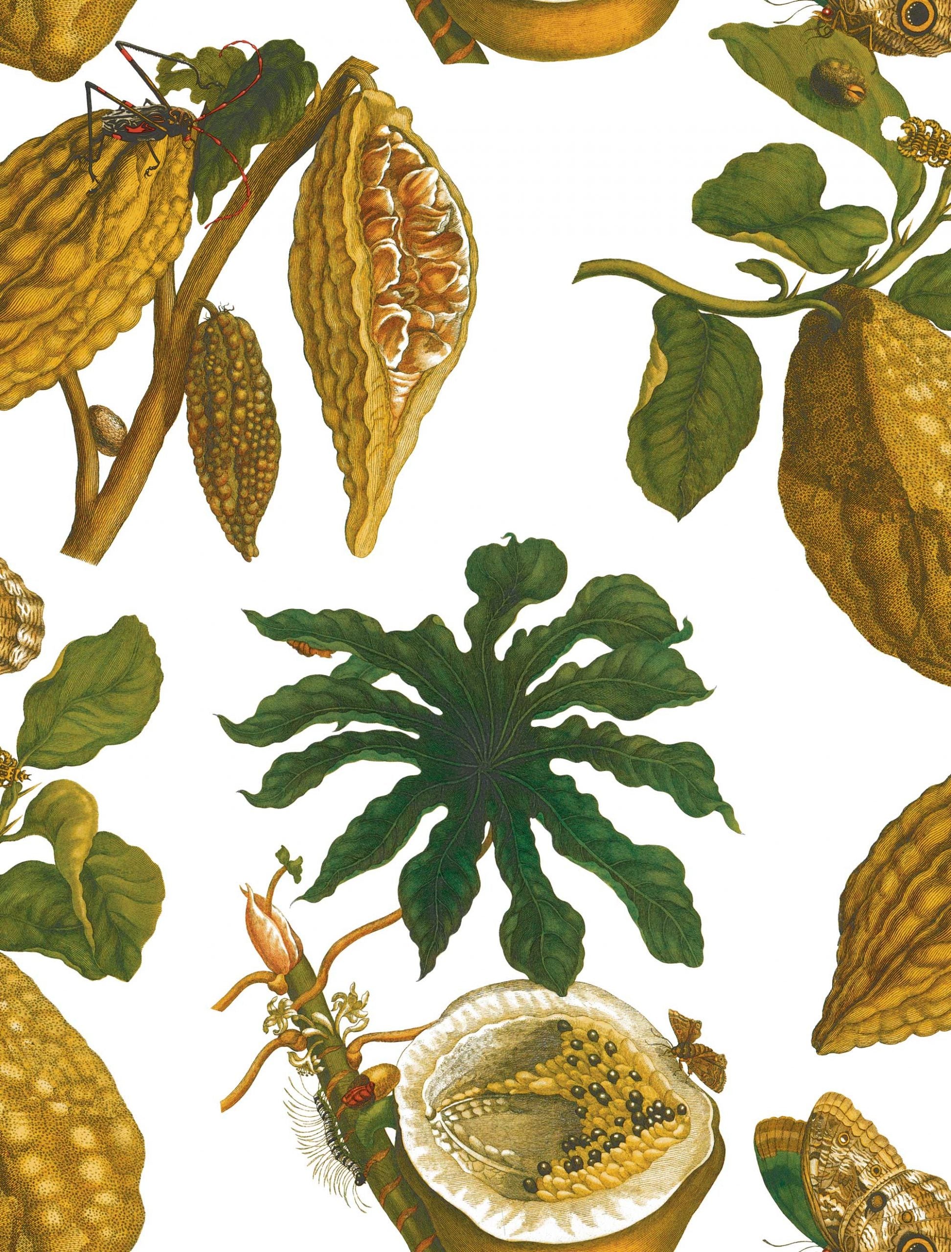 Amazonia Original Wallpaper by Gastón y Daniela