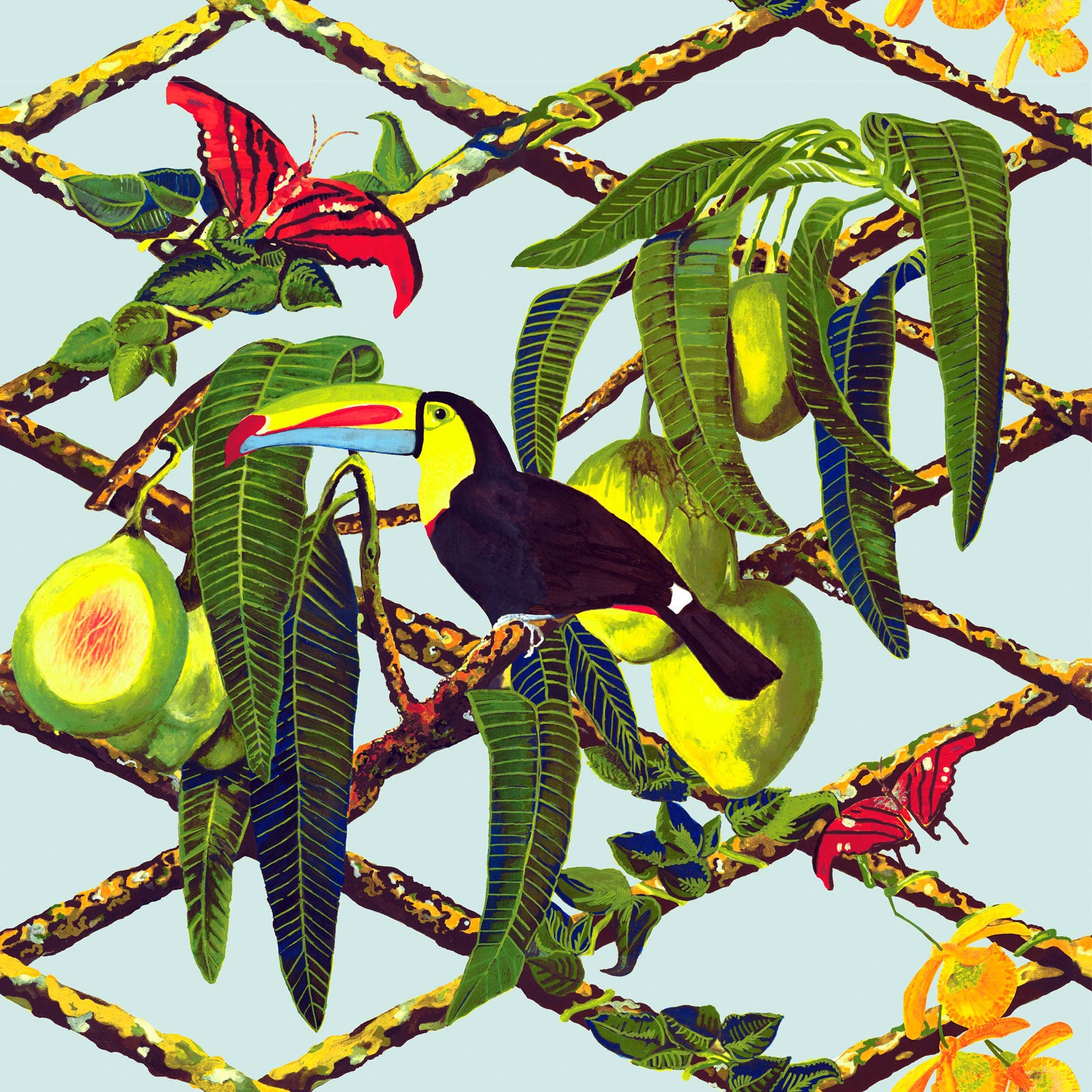 Tucan Wallpaper by Gastón y Daniela