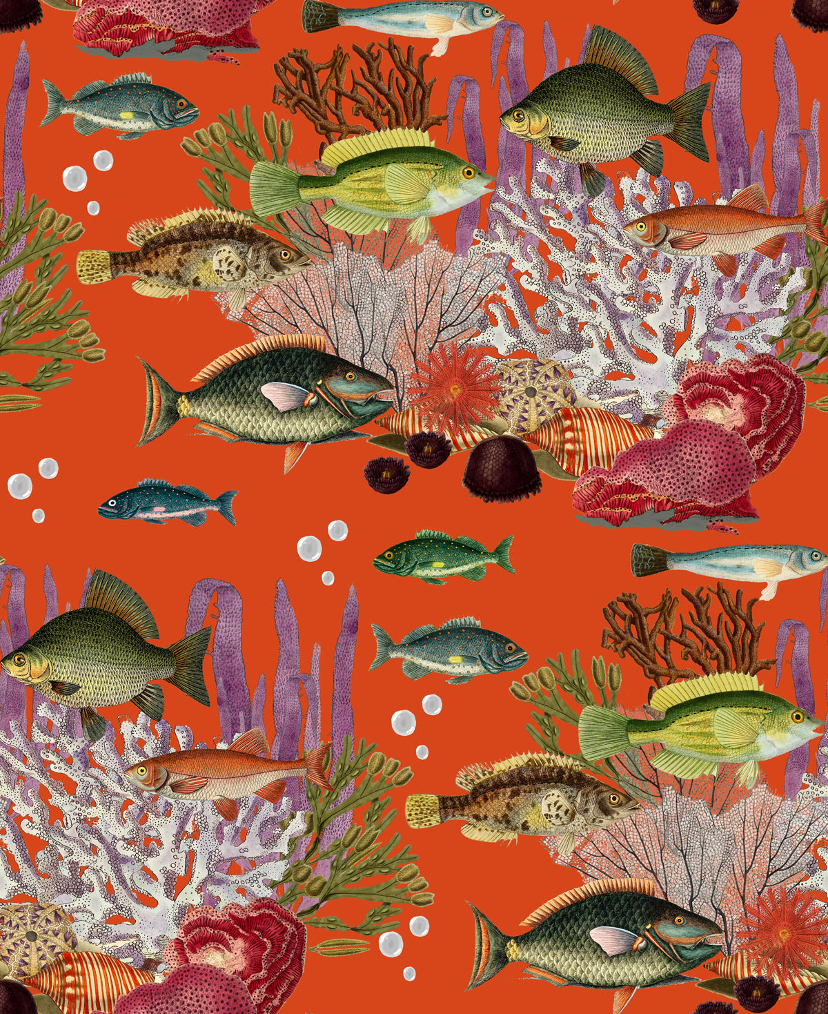 Corales Wallpaper by Gastón y Daniela