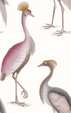 Garzas Wallpaper by Gastón y Daniela