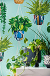 Houseplant wallpaper by Ohpopsi