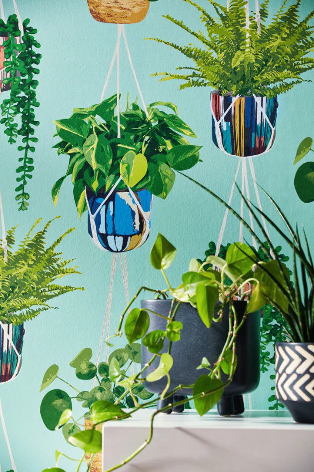 Houseplant wallpaper by Ohpopsi