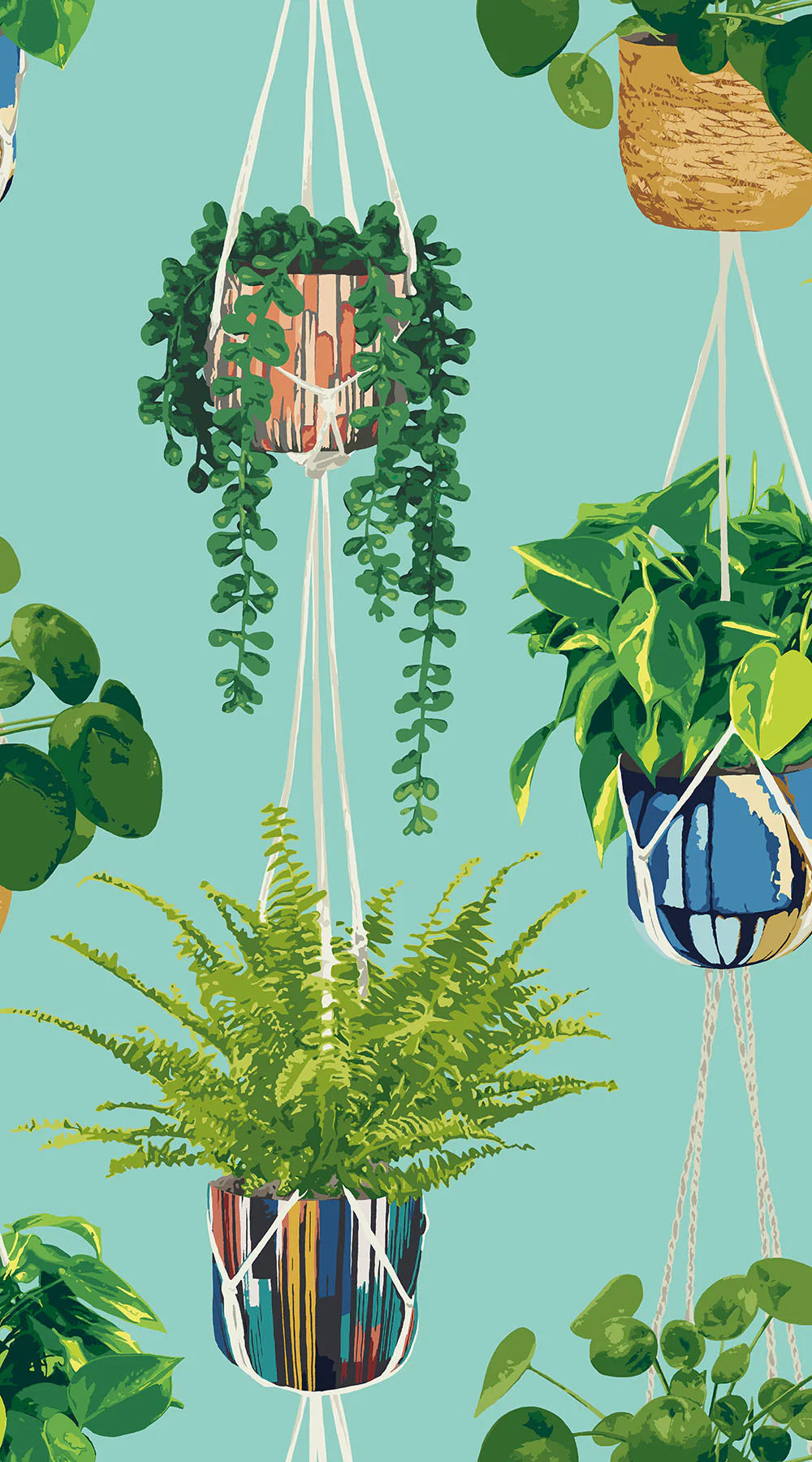 Houseplant wallpaper by Ohpopsi