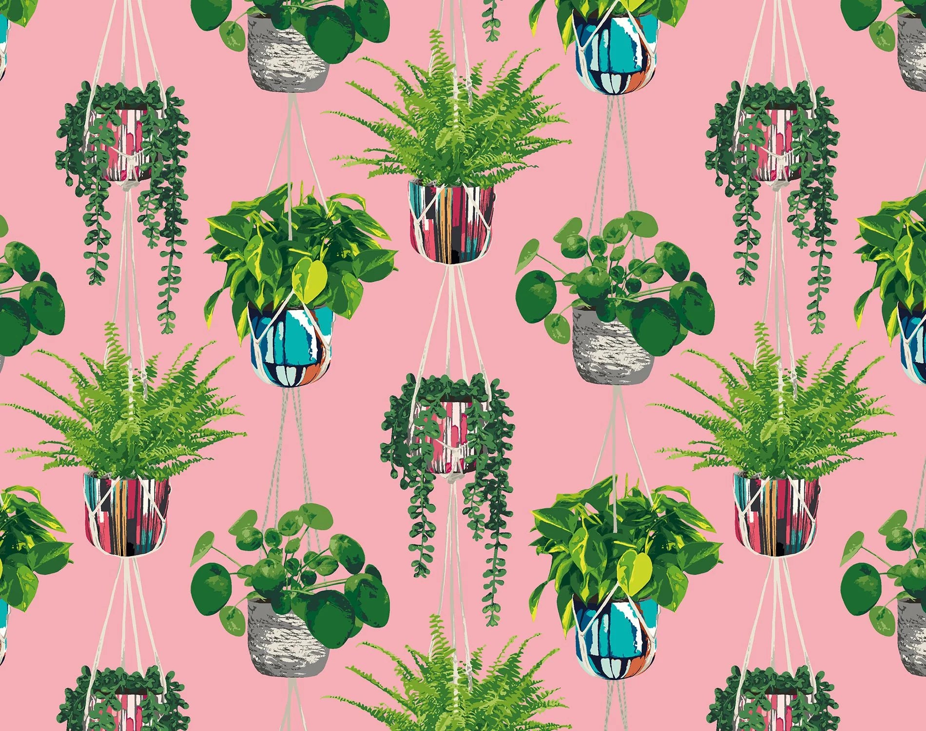 Houseplant wallpaper by Ohpopsi