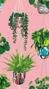 Houseplant wallpaper by Ohpopsi