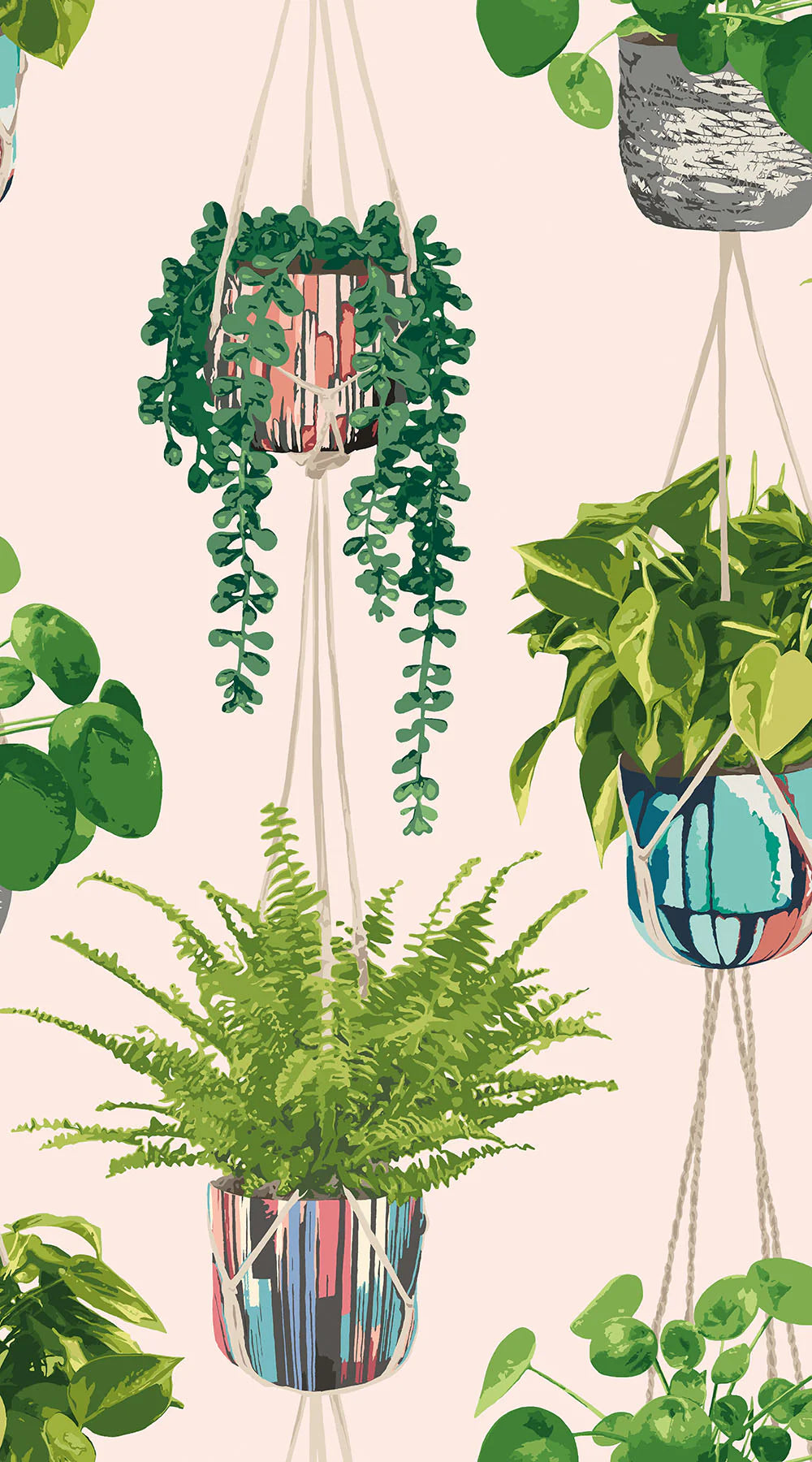 Houseplant wallpaper by Ohpopsi