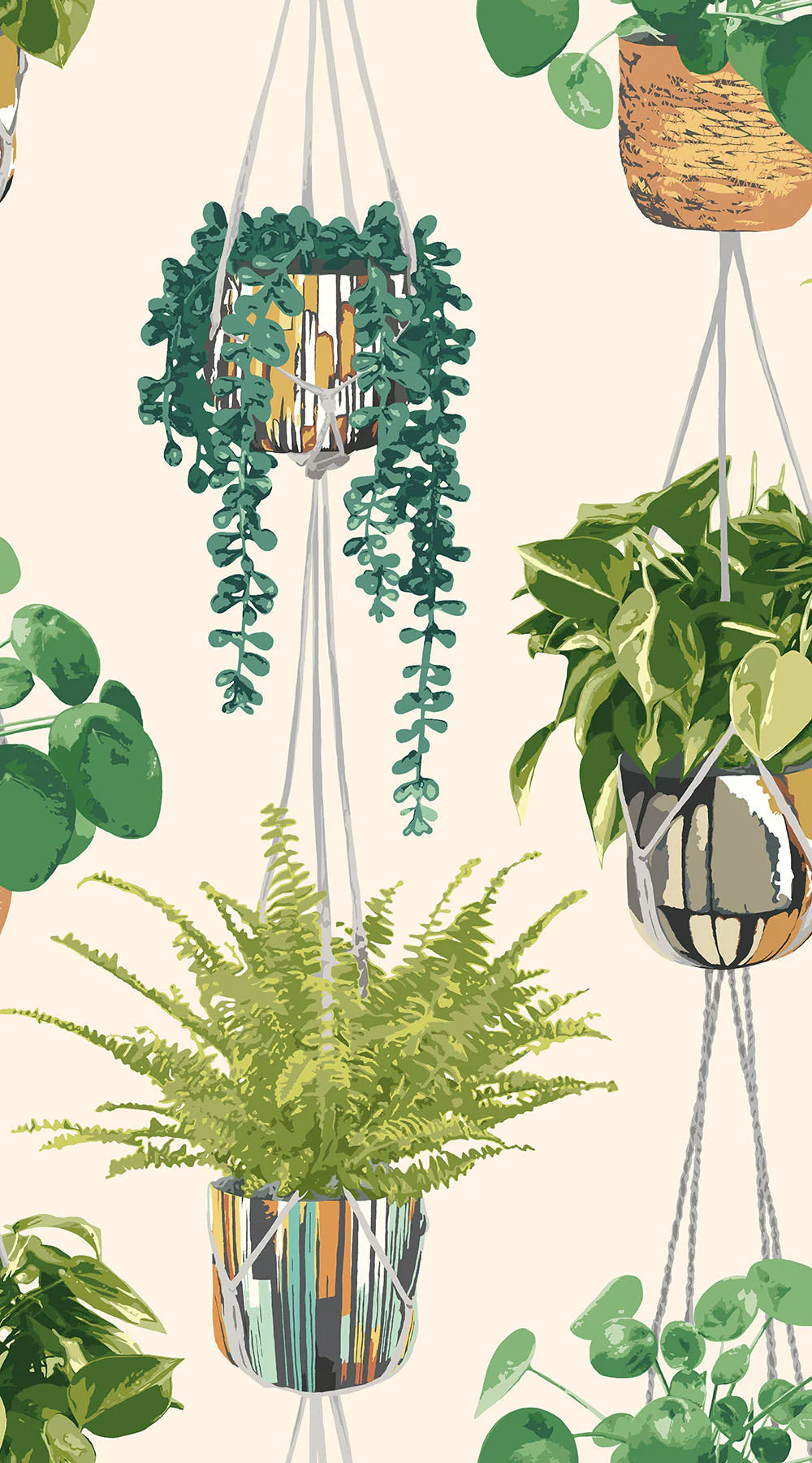 Houseplant wallpaper by Ohpopsi